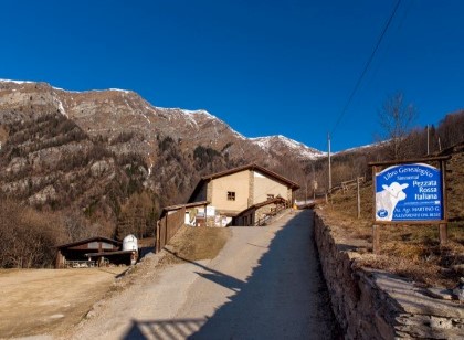 Az. Agr. Martino dal Bessè - Allevamento