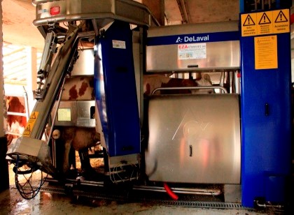 Az. Agr. Martino dal Bessè - Allevamento